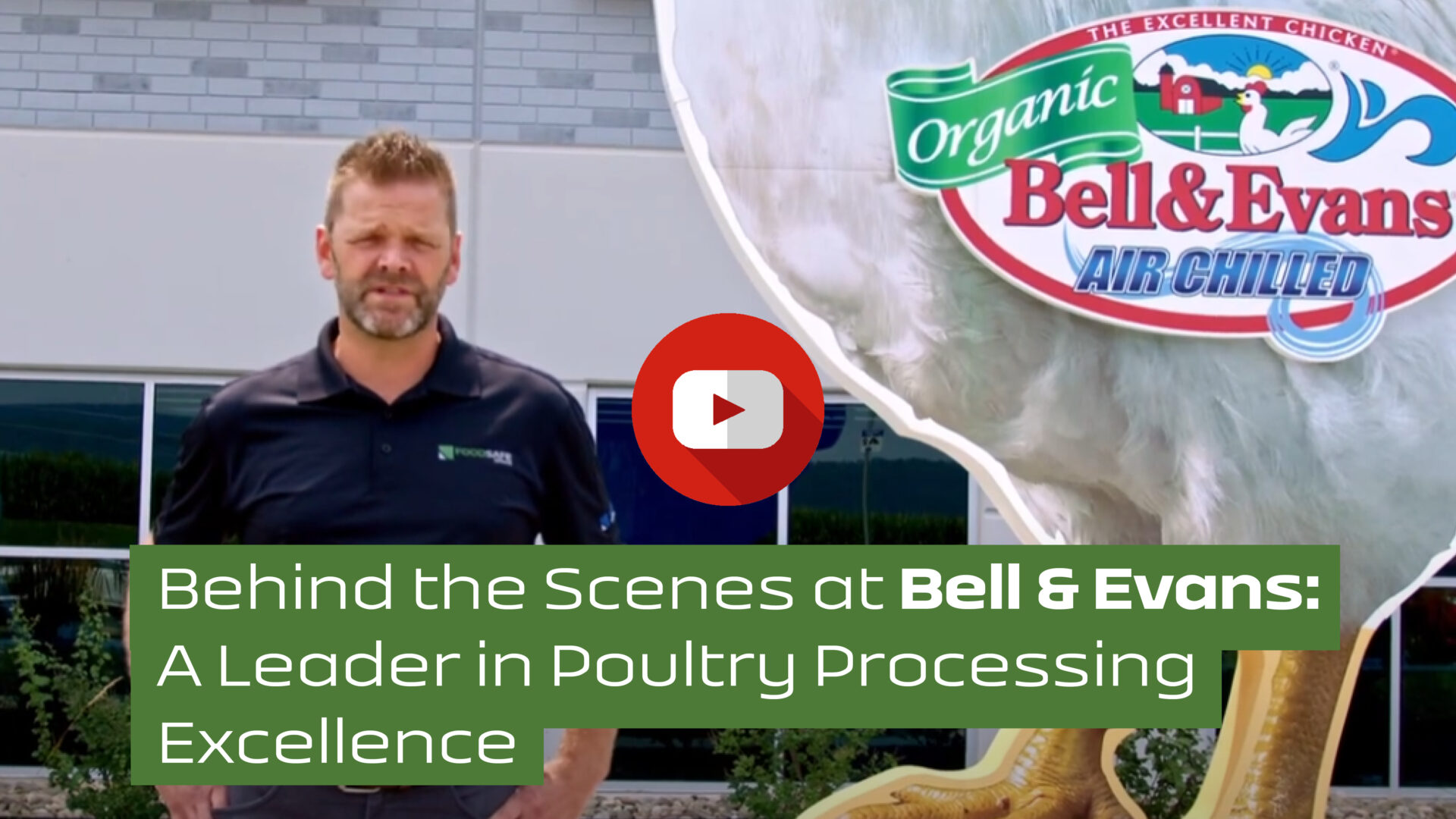 Behind the Scenes at Bell & Evans: A Leader in Poultry Processing Excellence