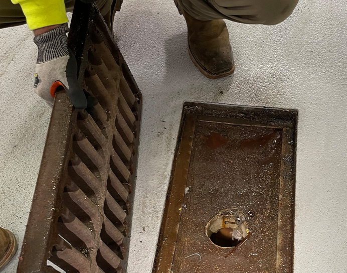 rotted drain